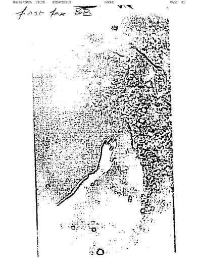 Fax from +612*****513